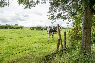 Images for Canal Row, Haigh, WN2 1NA EAID:Regan Hallworth BID:Regan & Hallworth- Wigan