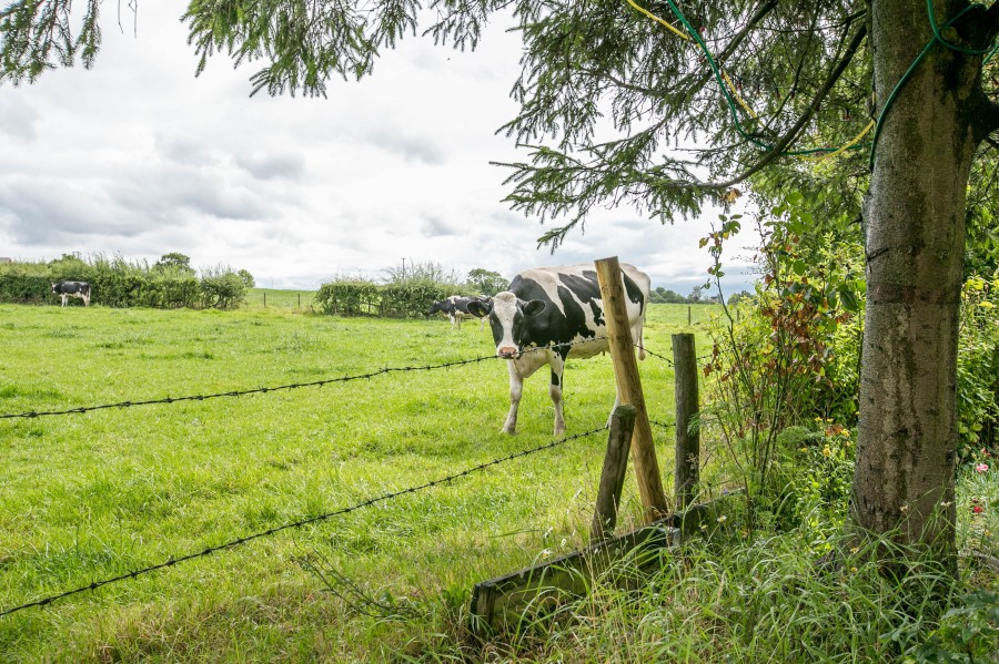 Images for Canal Row, Haigh, WN2 1NA