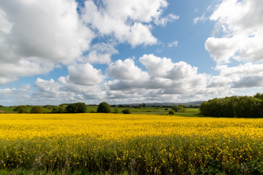 Images for Dwelling B, Langtree Hall Farm Barn, Langtree Lane, Standish, WN6 0QQ