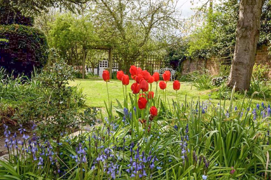 Images for Tudor Lodge, 11-12 Culmington, Ludlow, SY8 2DB