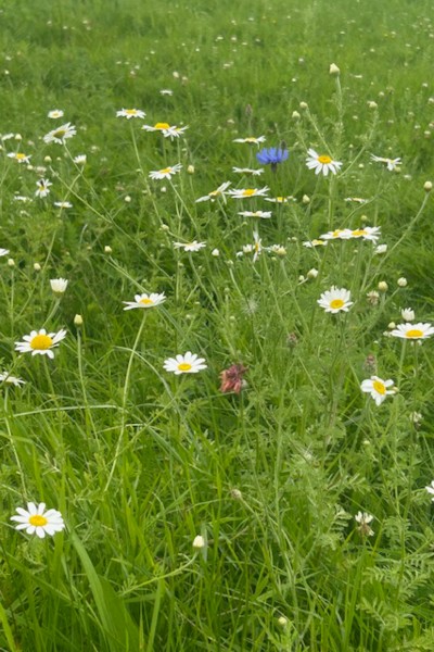 Images for Helms Deep, Long Lane, Barnacre, Garstang, Lancashire, PR3 1RN EAID:Regan Hallworth BID:Regan & Hallworth- Wigan