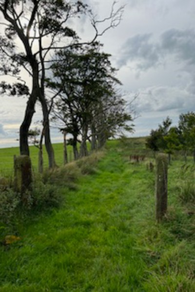 Images for Helms Deep, Long Lane, Barnacre, Garstang, Lancashire, PR3 1RN EAID:Regan Hallworth BID:Regan & Hallworth- Wigan