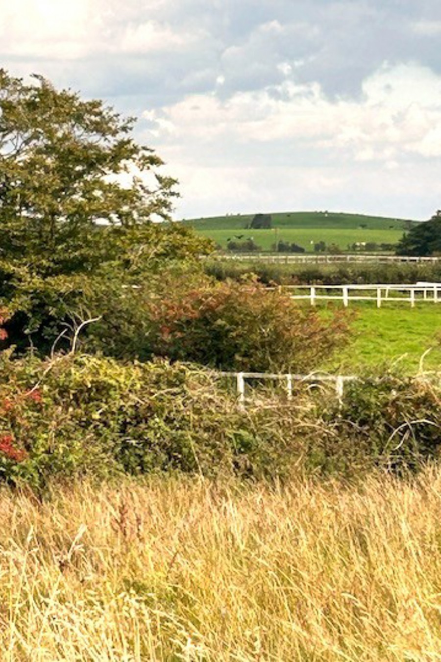 Images for Helms Deep, Long Lane, Barnacre, Garstang, Lancashire, PR3 1RN