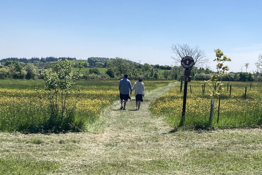 Images for Helms Deep, Long Lane, Barnacre, Garstang, Lancashire, PR3 1RN