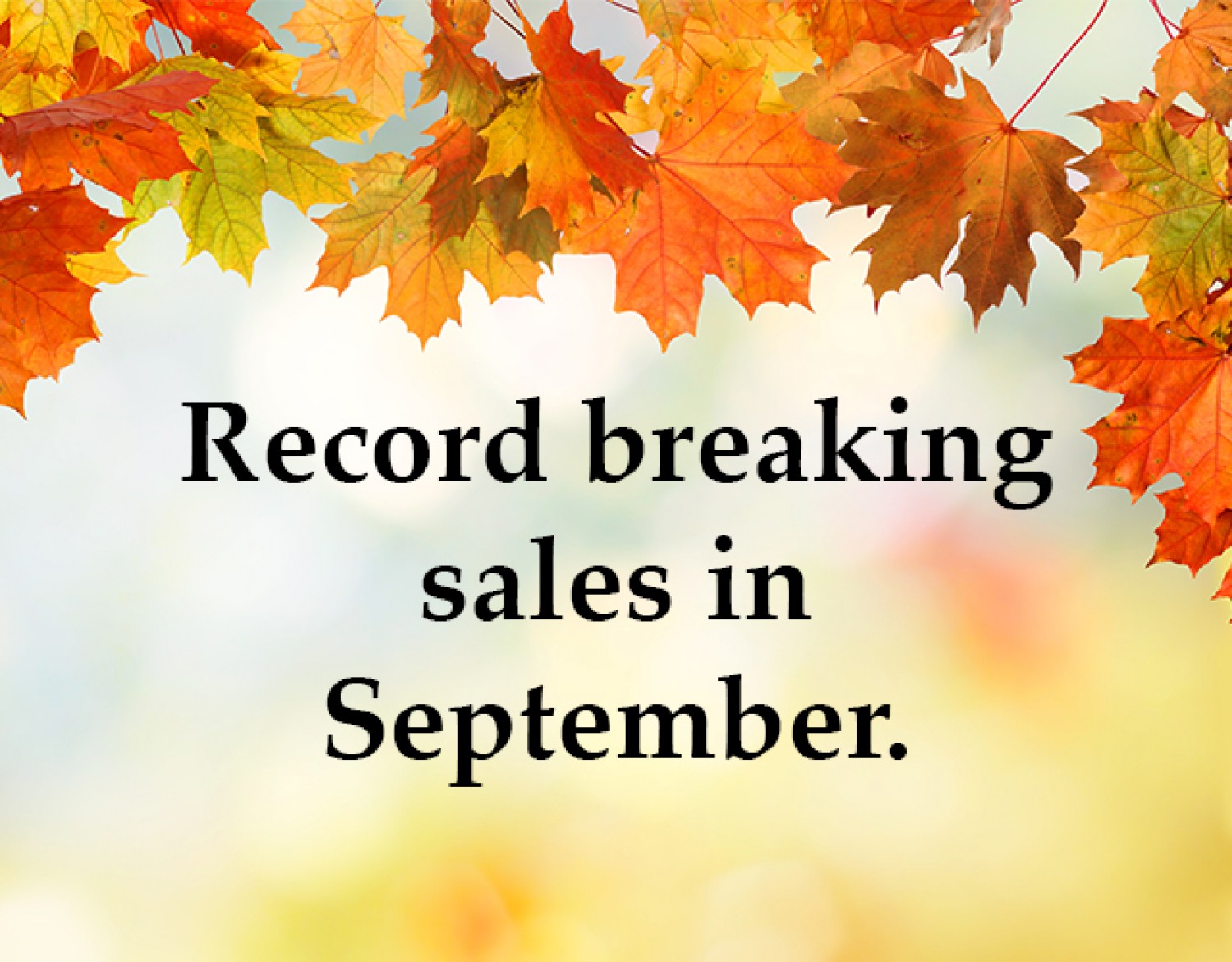 Autum Sales 