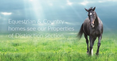 Advert 4